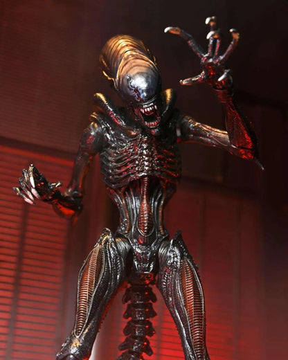 NECA Alien Romulus Ultimate Scorched Xenomorph Action Figure